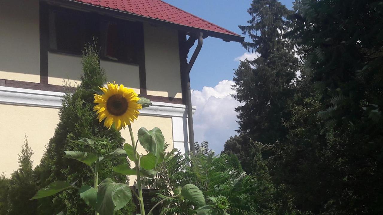 Penzion Pod Orechom Turčianske Teplice Exteriör bild