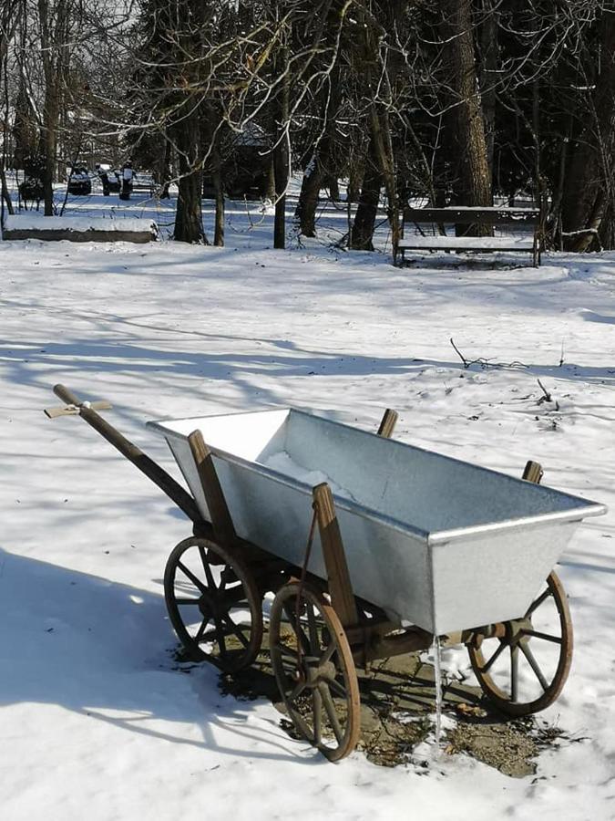 Penzion Pod Orechom Turčianske Teplice Exteriör bild