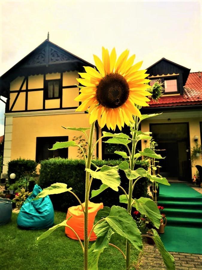 Penzion Pod Orechom Turčianske Teplice Exteriör bild